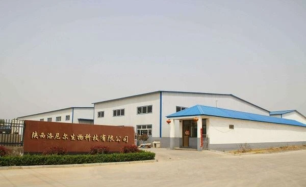 Pumpkin Seed Extract factory