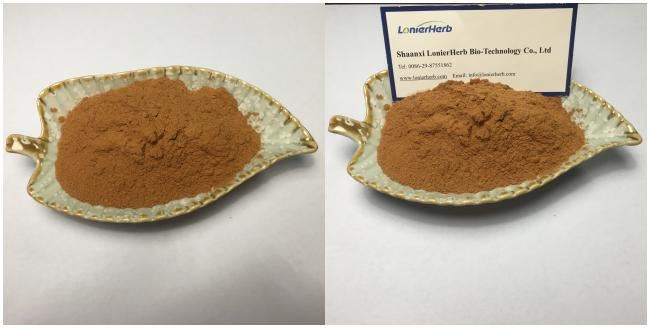 Senna Leaf Extract Powder 10% Sennosides A+B