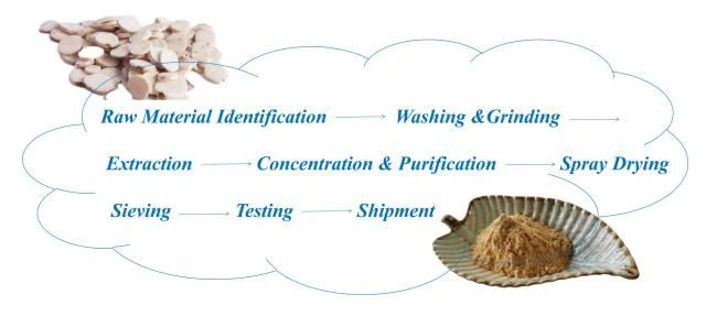 Paeonia Lactiflora Extract Powder,40% Paeoniflorin,White Peony Extract