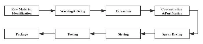Processing Flow Chart