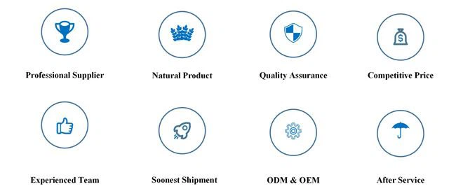 LonierHerb Manufacturer of Butcher's Broom Extract Powder