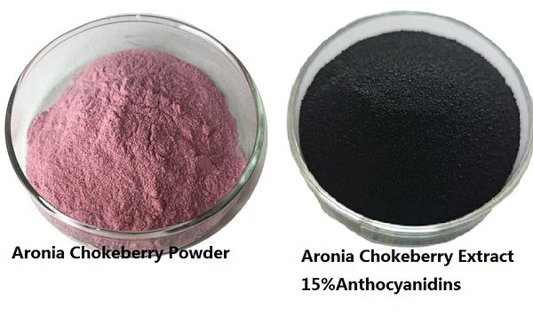 Aronia Chokeberry Extract