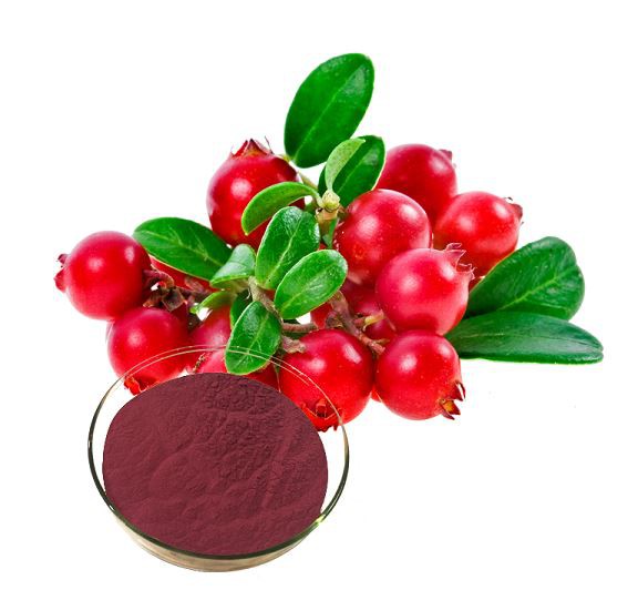 Cranberry Fruit Powder