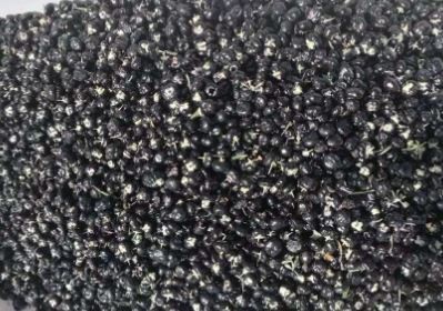 black Gojiberry
