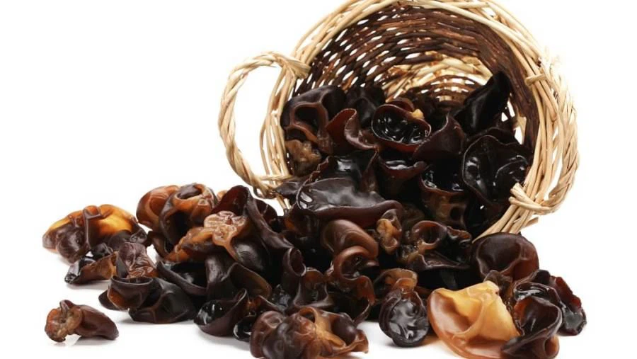 Auricularia Auricula Extract
