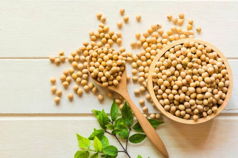 product-1-1 Soybean Extract, Soy Isoflavone