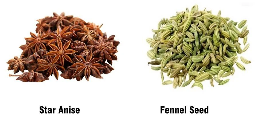 The difference between Star Anise and Fennel Seed The difference between Star Anise and Fennel Seed