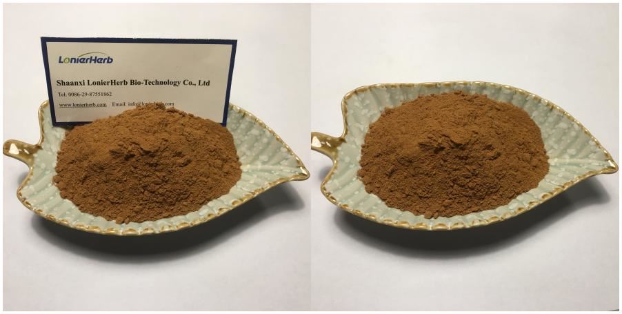 Corn Silk Extract