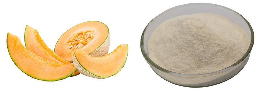 Cantaloupe Melon Powder