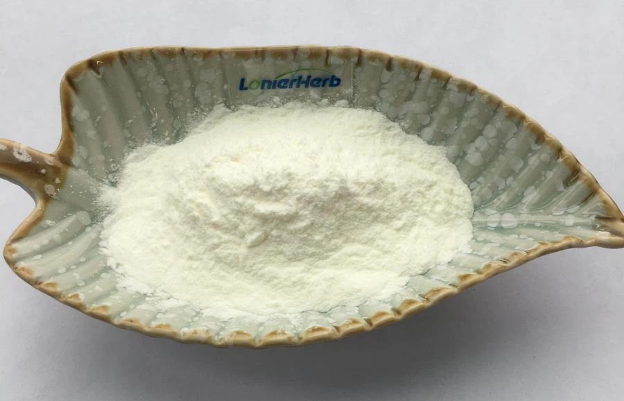 Sweet Tea Leaf Extract