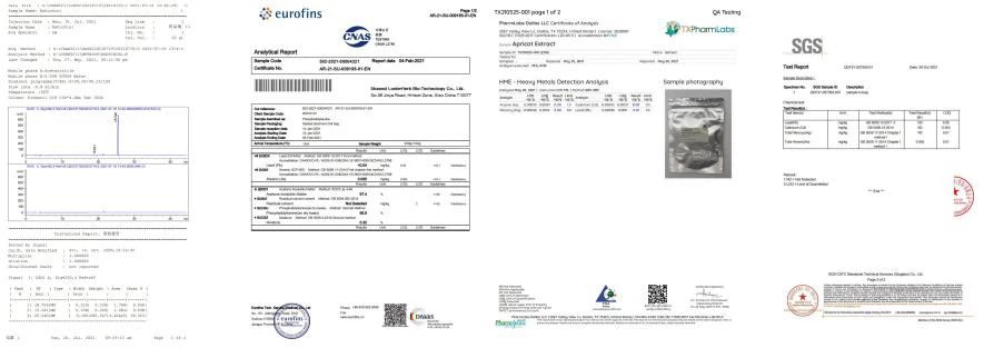 Test Report 2