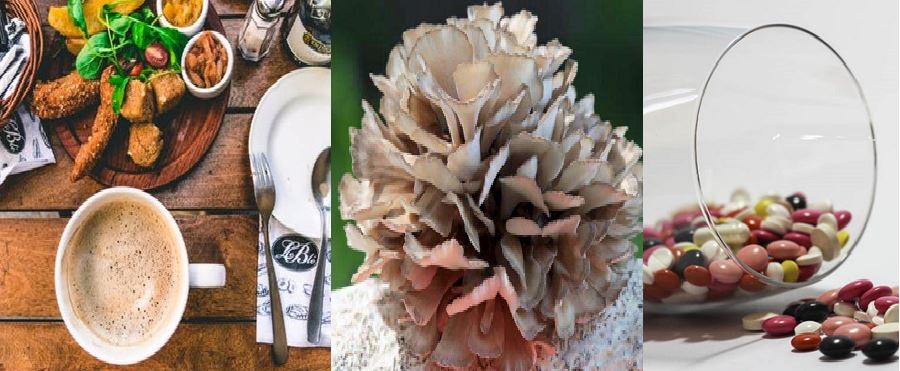 Maitake Mushroom Extract Application