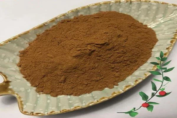 Butcher′s Broom Extract Butcher′s Broom Extract