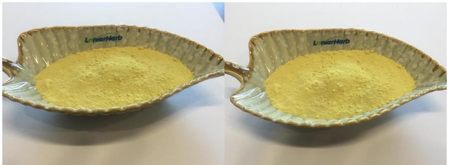 Palmatine,Fibraurea Recisa Extract