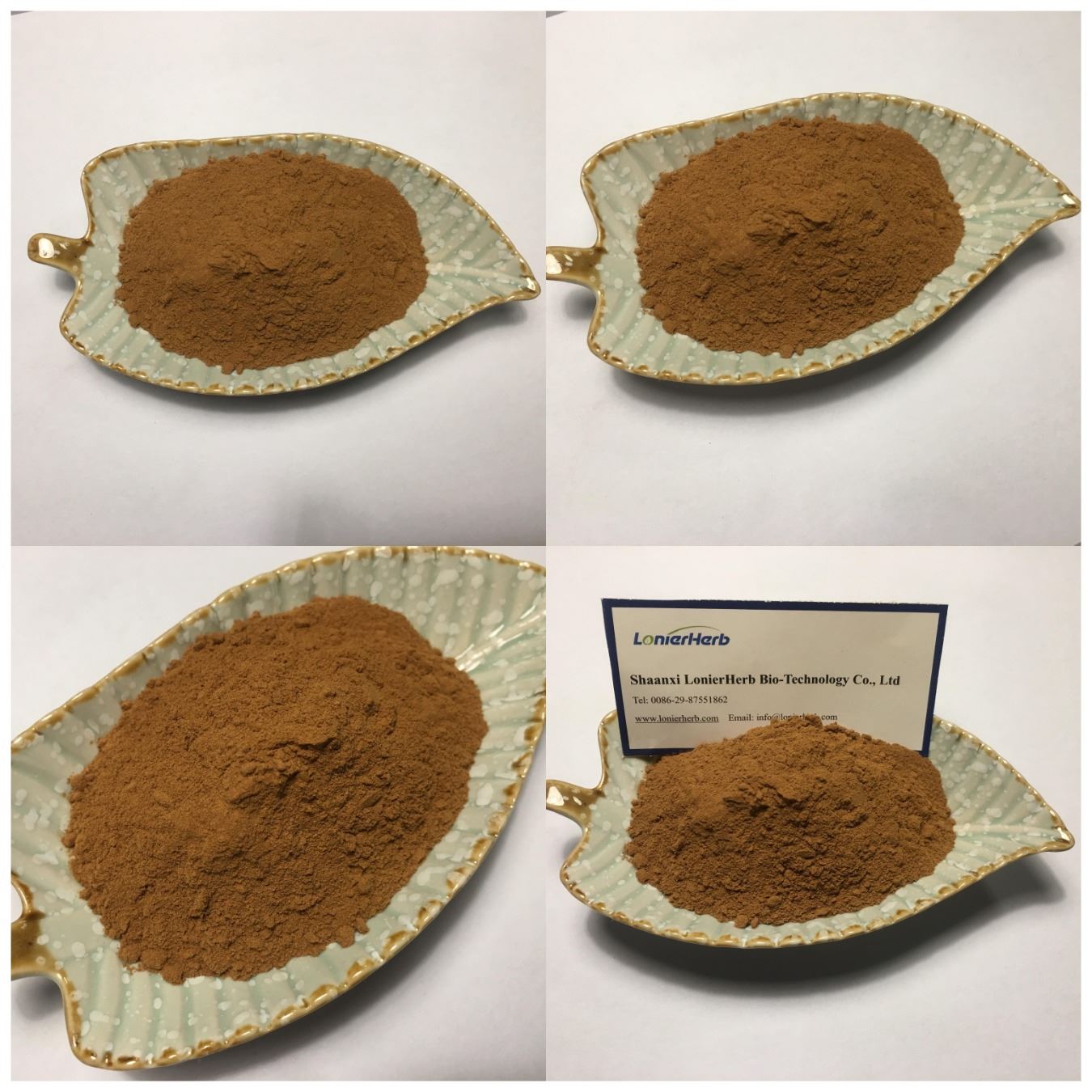 Rhubarb Root Extract ,10% Total Anthraquinone
