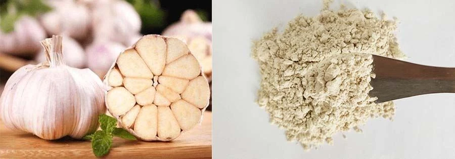 Dry Garlic Powder