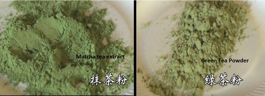 Different color of green tea and Matcha Powder
