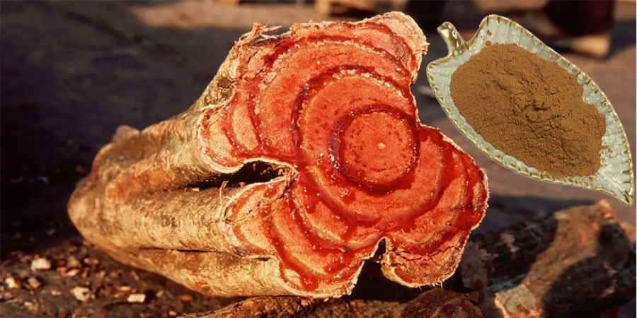 Caulis Spatholobus Extract