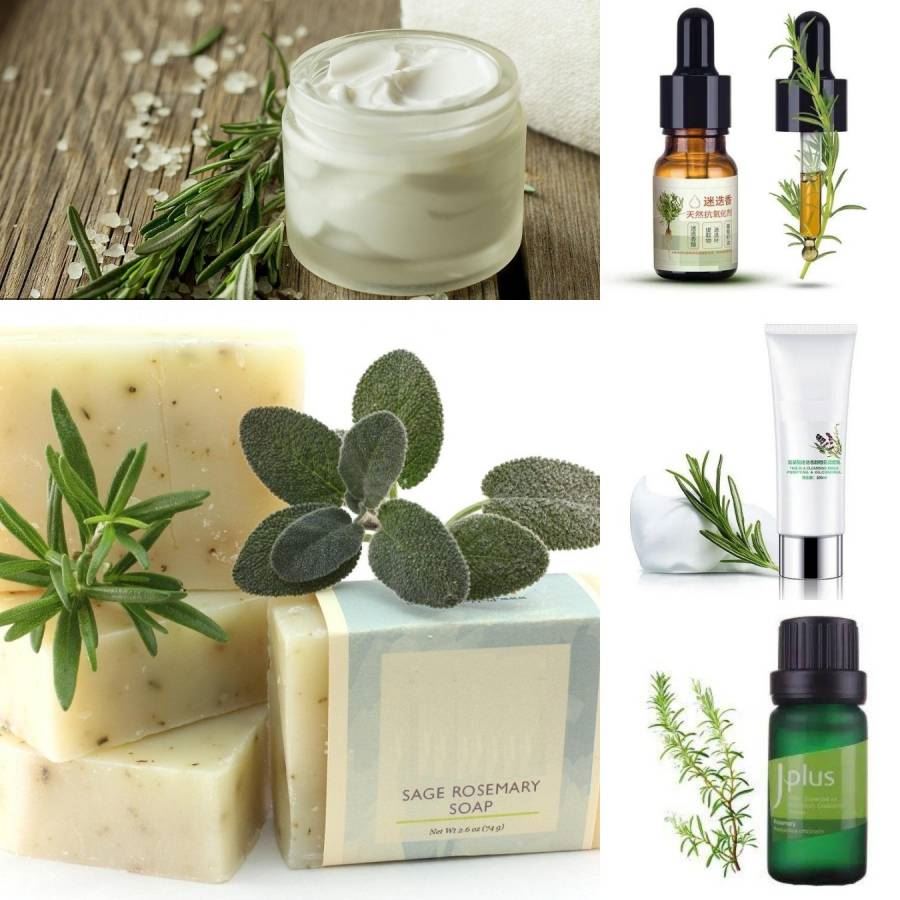 Rosemary Extract, Chinese Factory