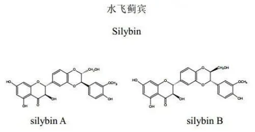 Silybin Milk Thistle Extract