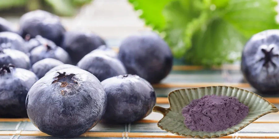 Wholesale Blueberry Juice Powder Wholesale Blueberry Juice Powder