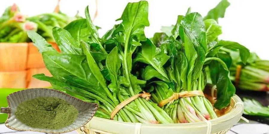 Spinach Juice Powder