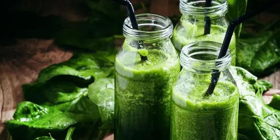 Spinach Juice Powder manufacturers