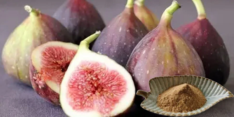 pure Fig Fruit Extract Powder