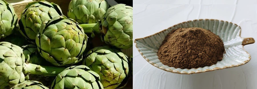 Artichoke Extract Powder