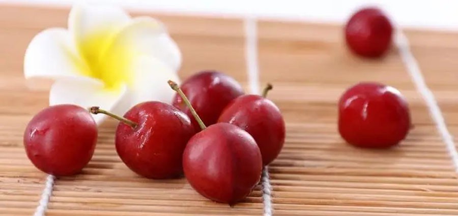 Chinese Dwarf Cherry Powder Chinese Dwarf Cherry Powder