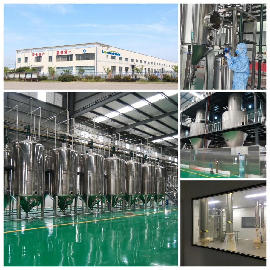 LonierHerb Factory 12