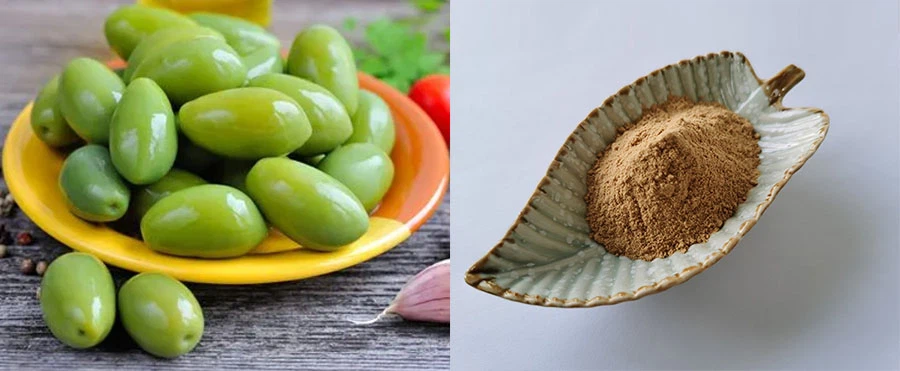 Hydroxytyrosol Powder Hydroxytyrosol Powder