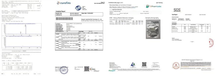 Test Report 2