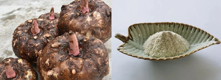 Konjac Glucomannan Powder Konjac Glucomannan Powder