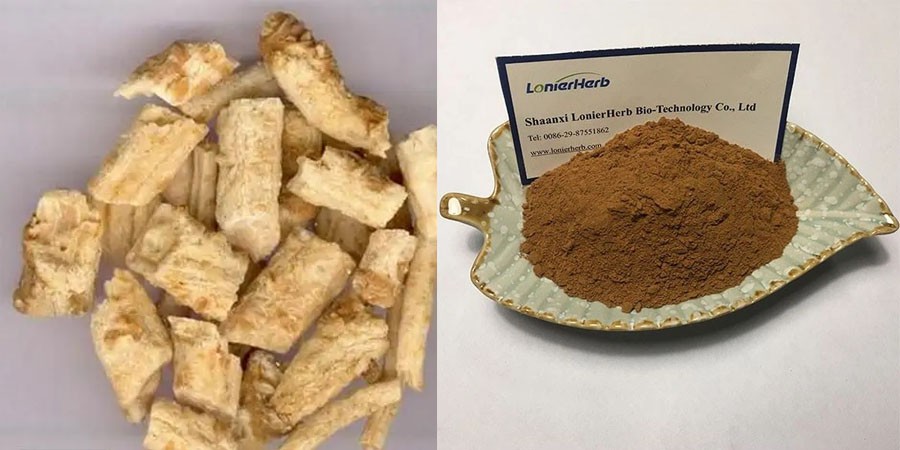 Muira Puama Bark Extract Muira Puama Bark Extract