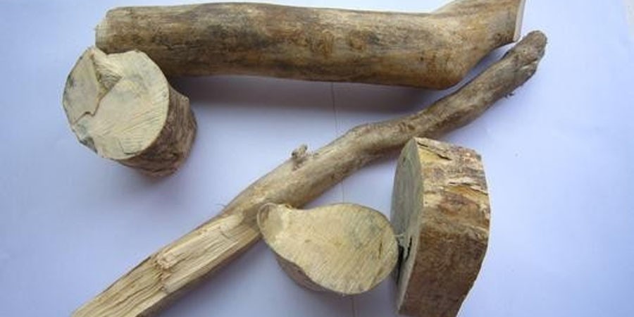 Muira Puama Extract Muira Puama Extract