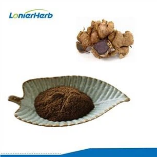 Polvo de extracto de jengibre negro