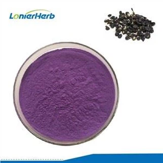 Polvo de jugo de gojiberry negro