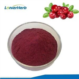 Polvo de fruta de arándano