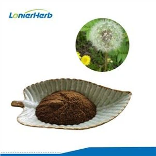 Polvo de extracto de diente de león