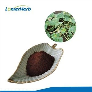 Polvo de raíz de garra del diablo