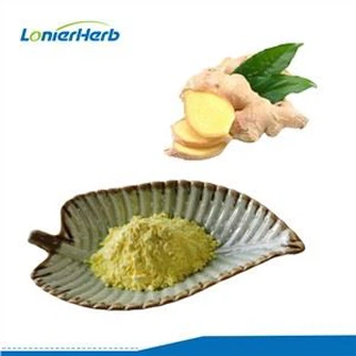 Polvo de extracto de jengibre