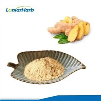 Polvo de raíz de jengibre
