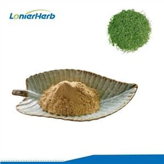 Polvo de extracto de ginostema