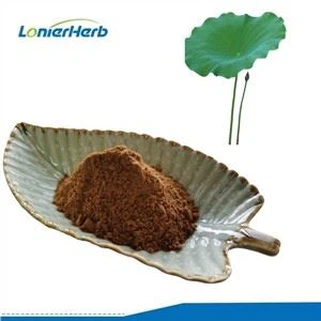 Polvo de extracto de hoja de loto