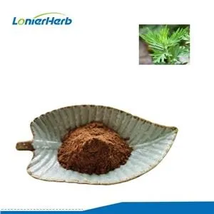 Polvo de extracto de Motherwort