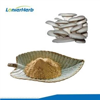 Polvo de extracto de hongo ostra