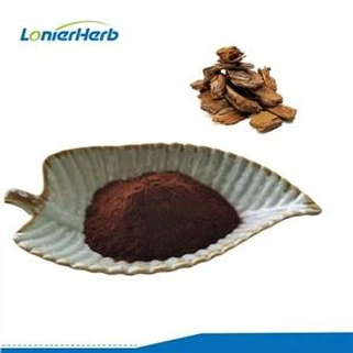 Polvo de extracto de corteza de pino