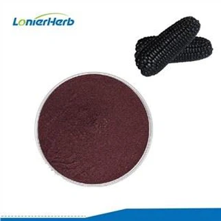 Extracto de Maíz Morado