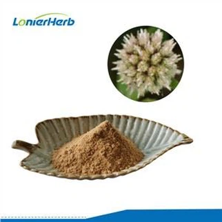 Extracto de Sphaeranthus Indicus